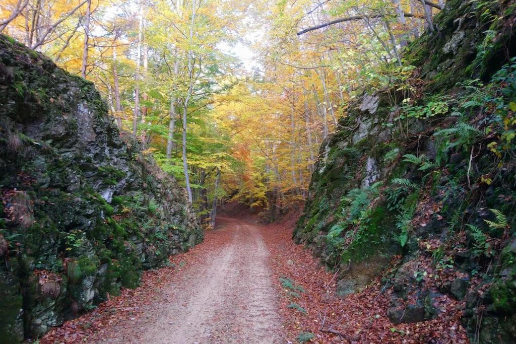 Namaste * Saint-Julien-d'Intres