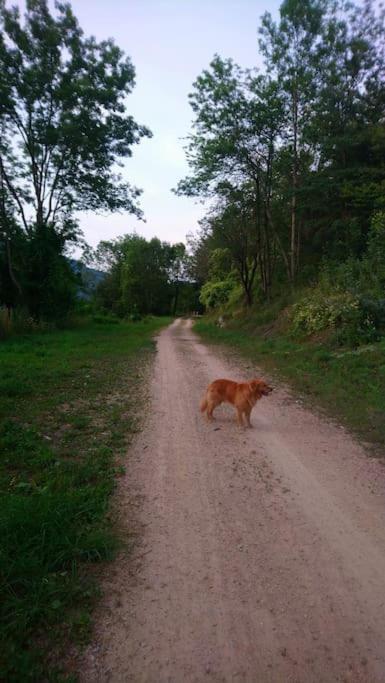 Namaste Saint-Julien-d'Intres